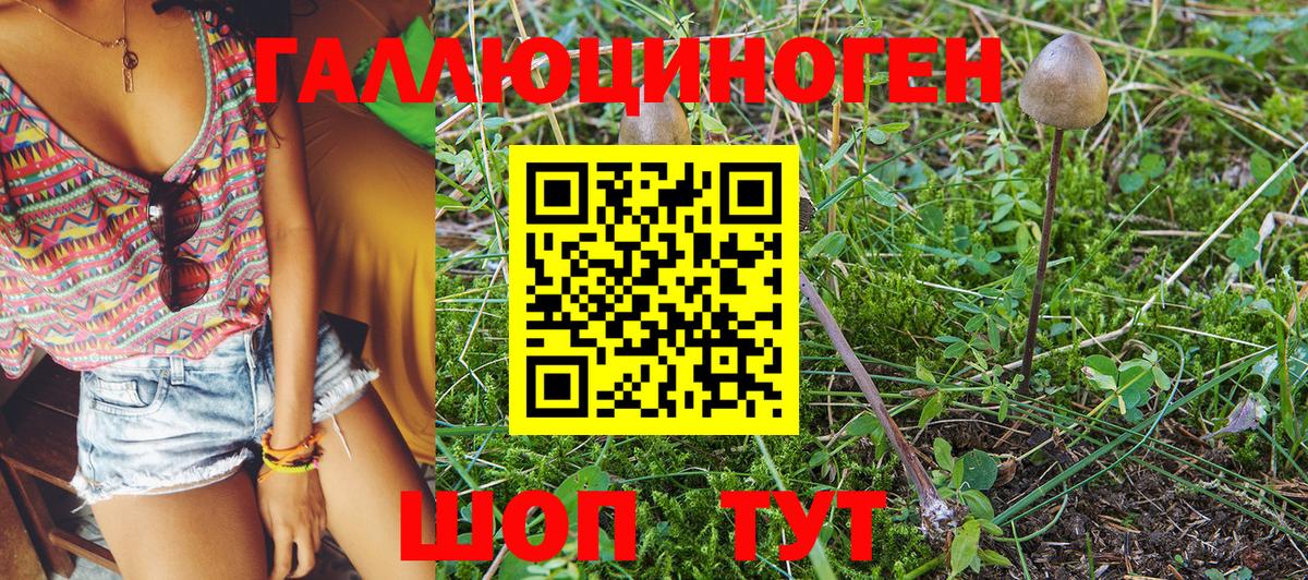 Псилоцибиновые грибы GOLDEN TEACHER  Вход с VPN  Домодедово  Галлюциногенные грибы Magic Shrooms 