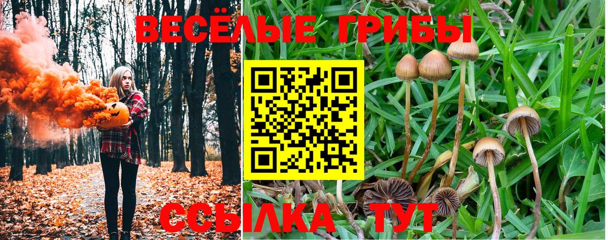 Псилоцибиновые грибы ЛСД Домодедово